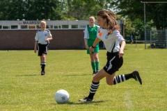 Ned, Vechtcup Maarssen