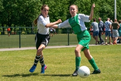 Ned, Vechtcup Maarssen