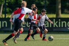 Ned, Vechtcup Maarssen