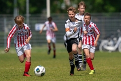 Ned, Vechtcup Maarssen