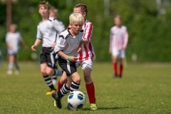 Ned, Vechtcup Maarssen