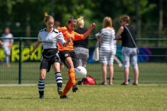 Ned, Vechtcup Maarssen