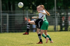 Ned, Vechtcup Maarssen